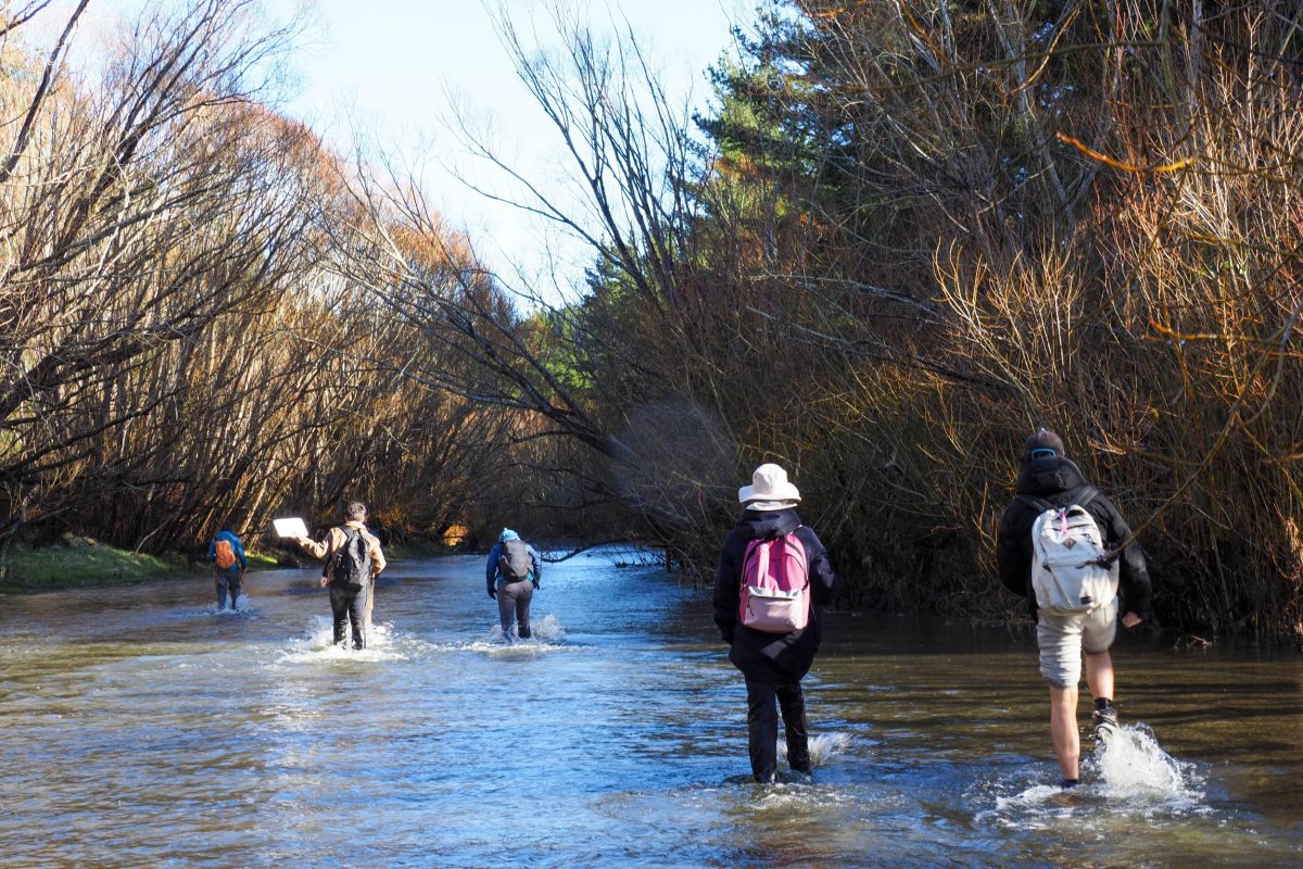 Goodbye 2025. Hello 2026! image